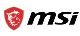 MSI